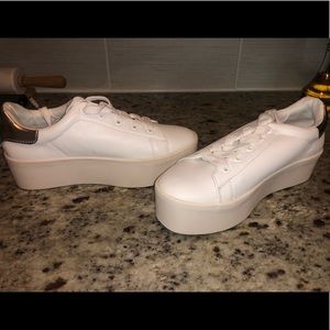 Steve Madden Palmer Sneaker
